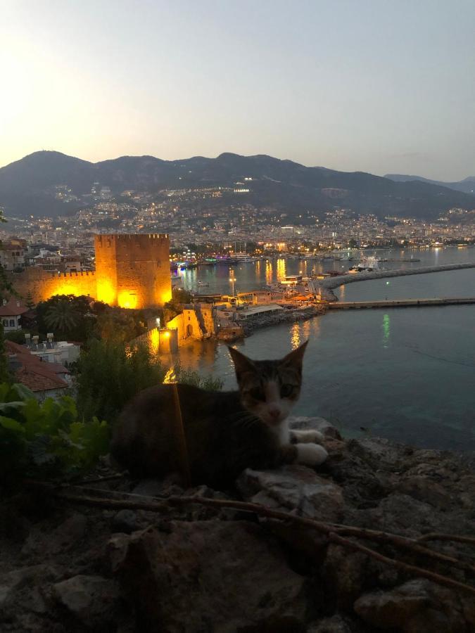 Harmony Butik Otel (Adults Only) Alanya Exterior foto